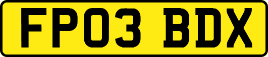 FP03BDX