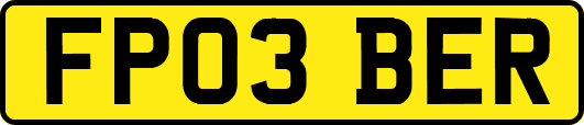 FP03BER