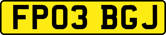 FP03BGJ