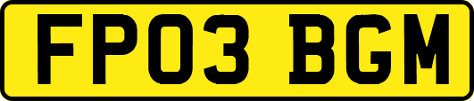 FP03BGM