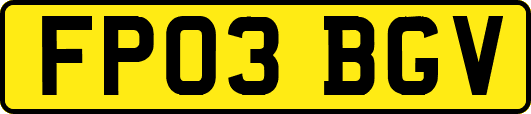 FP03BGV