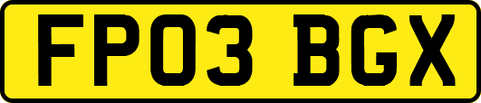 FP03BGX
