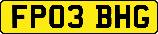 FP03BHG