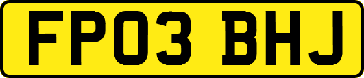FP03BHJ