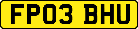 FP03BHU