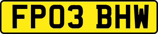 FP03BHW