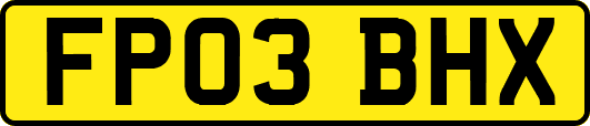FP03BHX