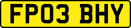FP03BHY