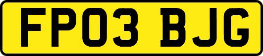 FP03BJG