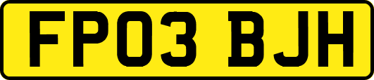 FP03BJH