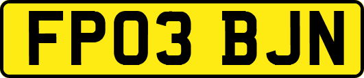 FP03BJN