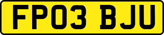 FP03BJU