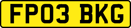 FP03BKG