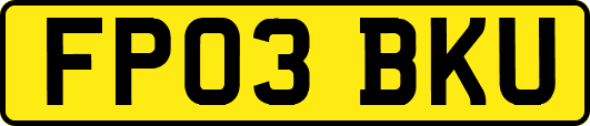 FP03BKU