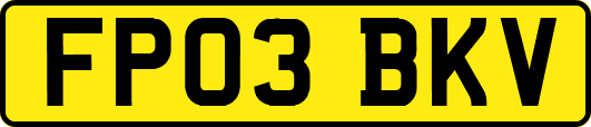 FP03BKV