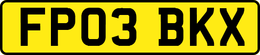 FP03BKX