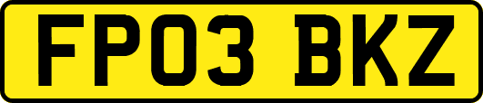 FP03BKZ