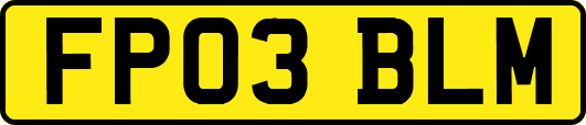 FP03BLM