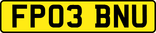 FP03BNU