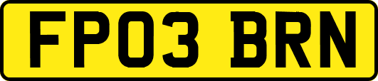 FP03BRN
