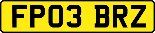 FP03BRZ