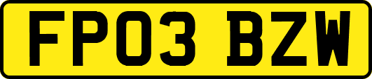 FP03BZW