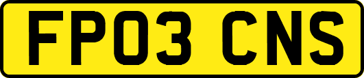 FP03CNS