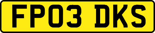 FP03DKS