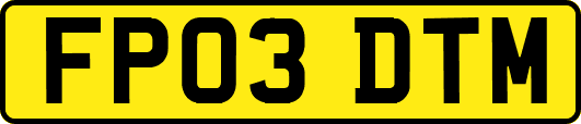 FP03DTM