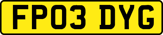 FP03DYG