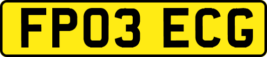 FP03ECG