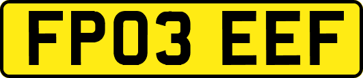 FP03EEF