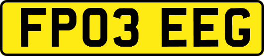FP03EEG
