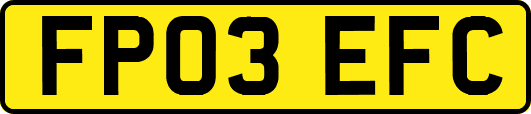 FP03EFC