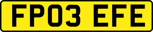 FP03EFE