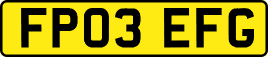 FP03EFG
