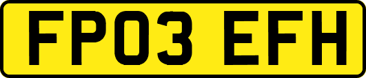 FP03EFH