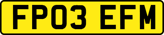 FP03EFM