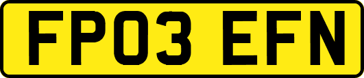 FP03EFN
