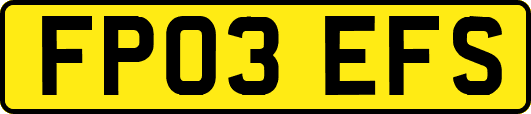 FP03EFS