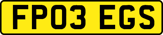 FP03EGS