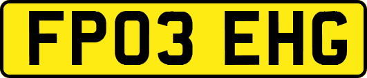 FP03EHG