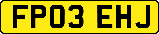 FP03EHJ