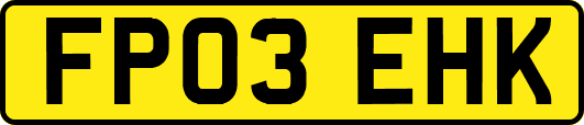 FP03EHK