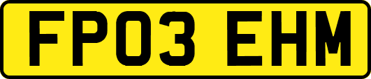 FP03EHM
