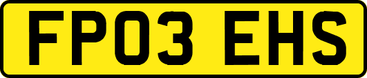 FP03EHS