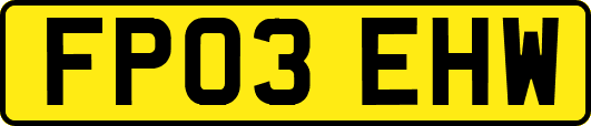 FP03EHW