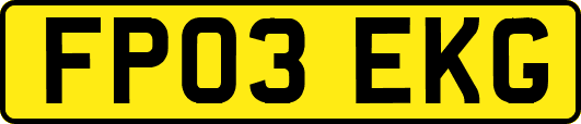 FP03EKG