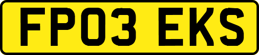 FP03EKS