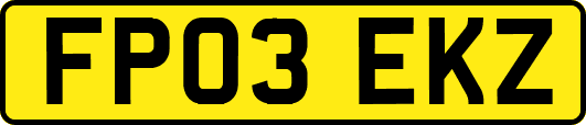 FP03EKZ